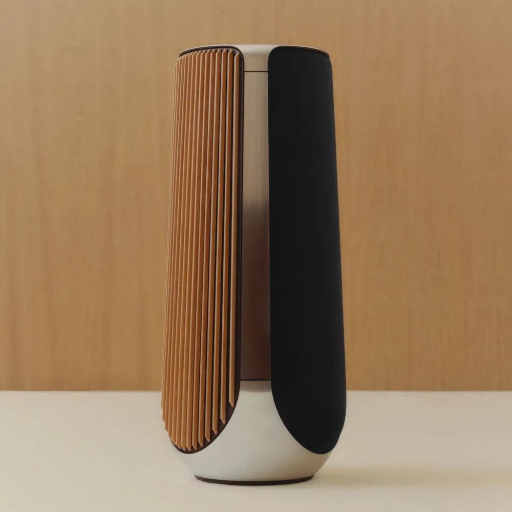 BeoLab 50 Silver
