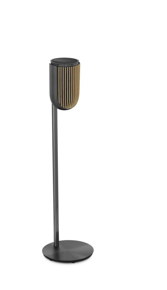 BeoLab 8 Black Anthracite / Oak