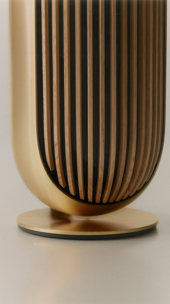 BeoLab 8 Gold Tone / Oak